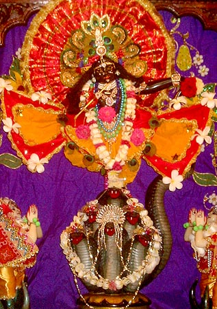 Krishna Kaliya in Fiji