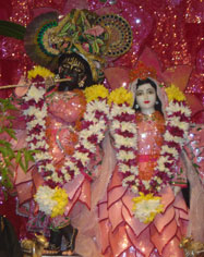 Radha Govinda Gopal