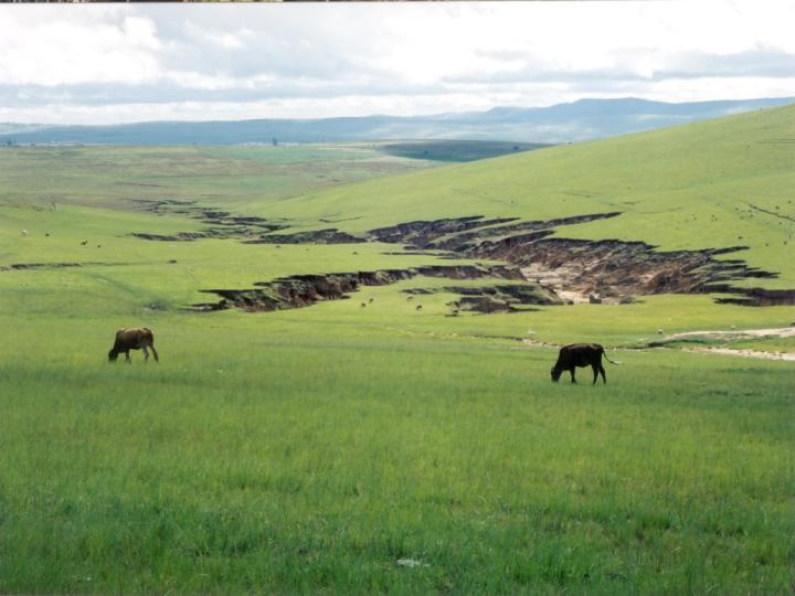 South Africa