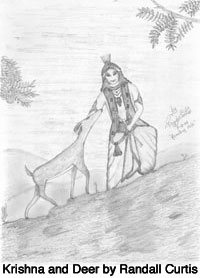 Krishna and Deer by Randall Curtis