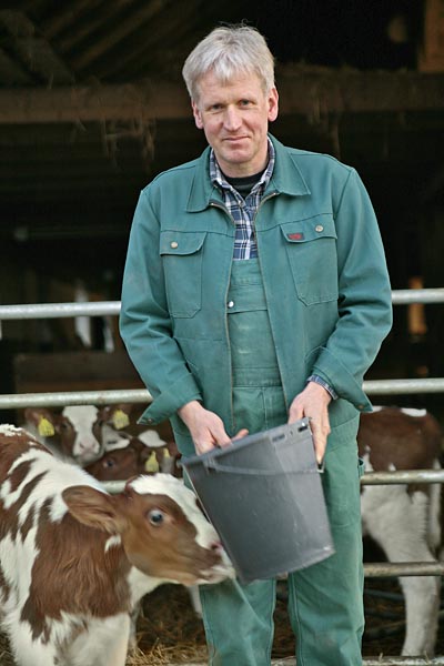 Bavarian calf