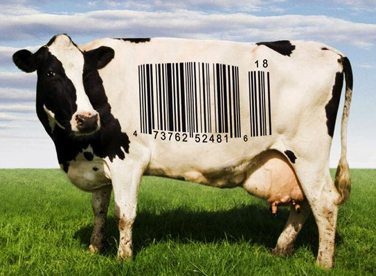 Food Inc