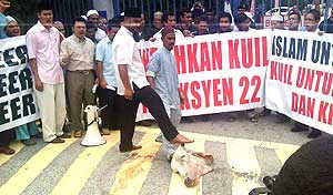 cow protest