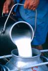 farm milk