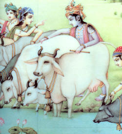 Sri Gopal
