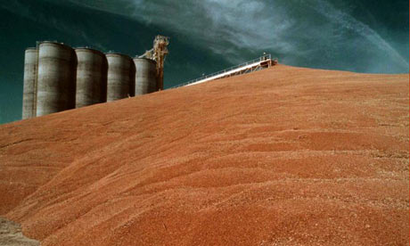 grain elevator