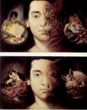 human animal
