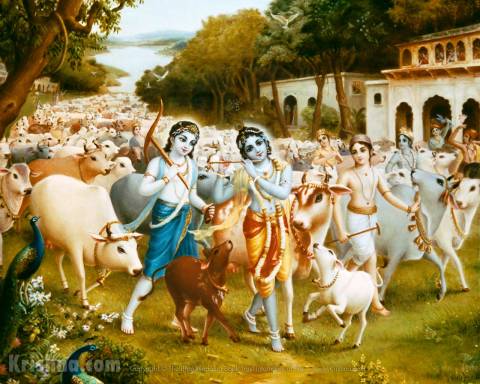 Krishna & Balarama & cows
