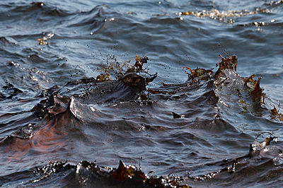 oil slick