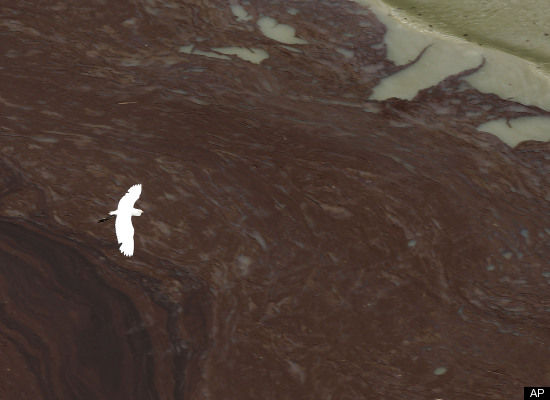 oil slick off Louisiana coast