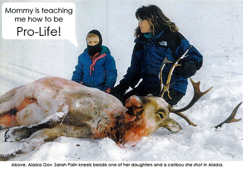 Prolife?