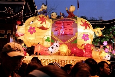 year of the pig