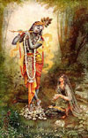 Radha - Krishna