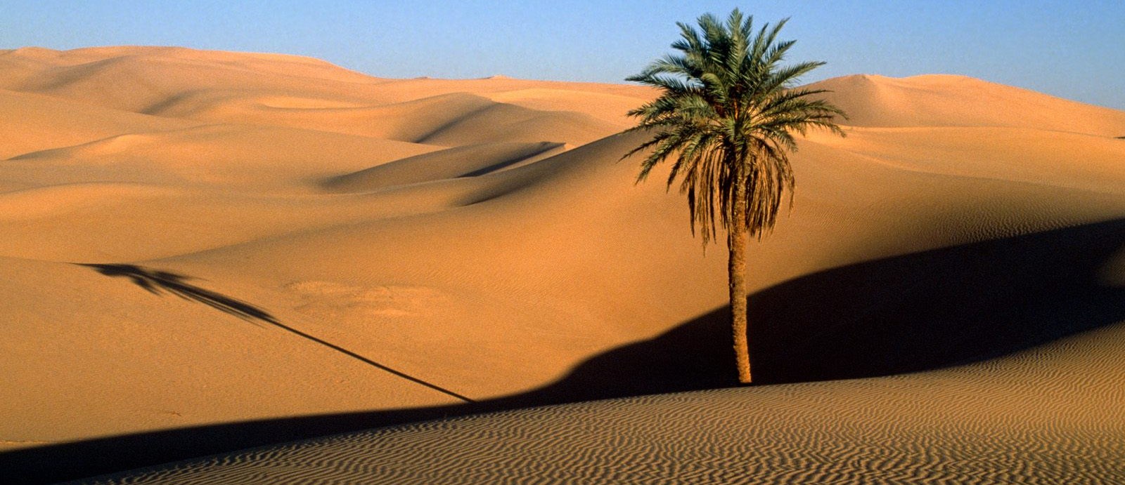 Sahara