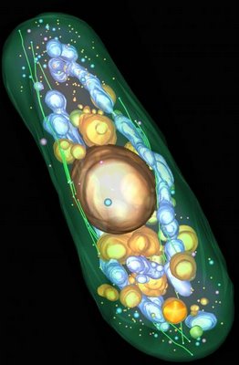 synthetic biology